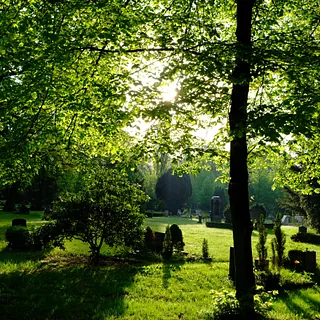 Friedhof